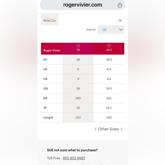BNIB Roger Vivier Gommette ballet flats nude suede w tortoise buckle - Picture 9 of 9